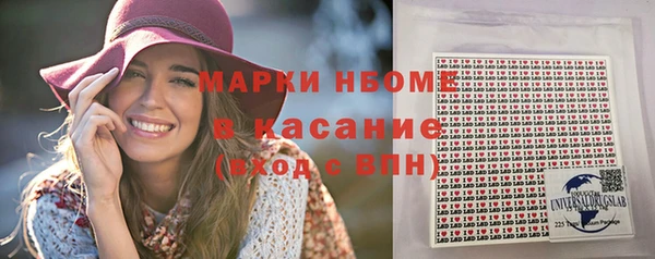 гашик Бородино