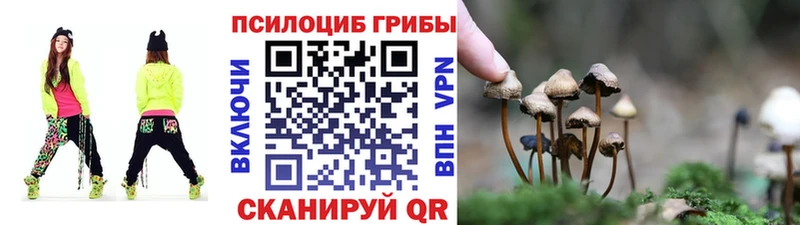 Галлюциногенные грибы прущие грибы  Городовиковск 